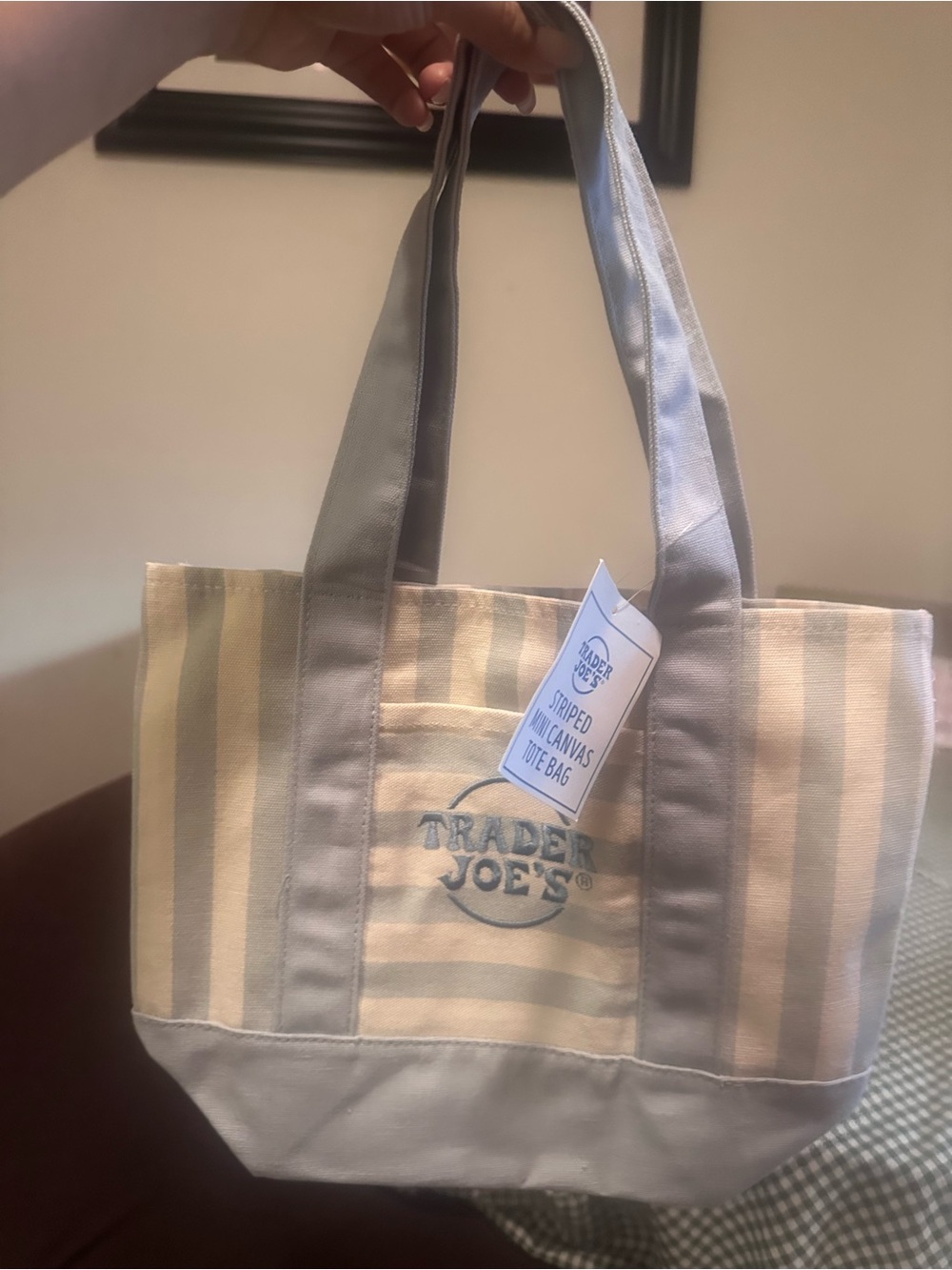Trader Joe's Striped Mini Canvas Tote in Cream and baby blue